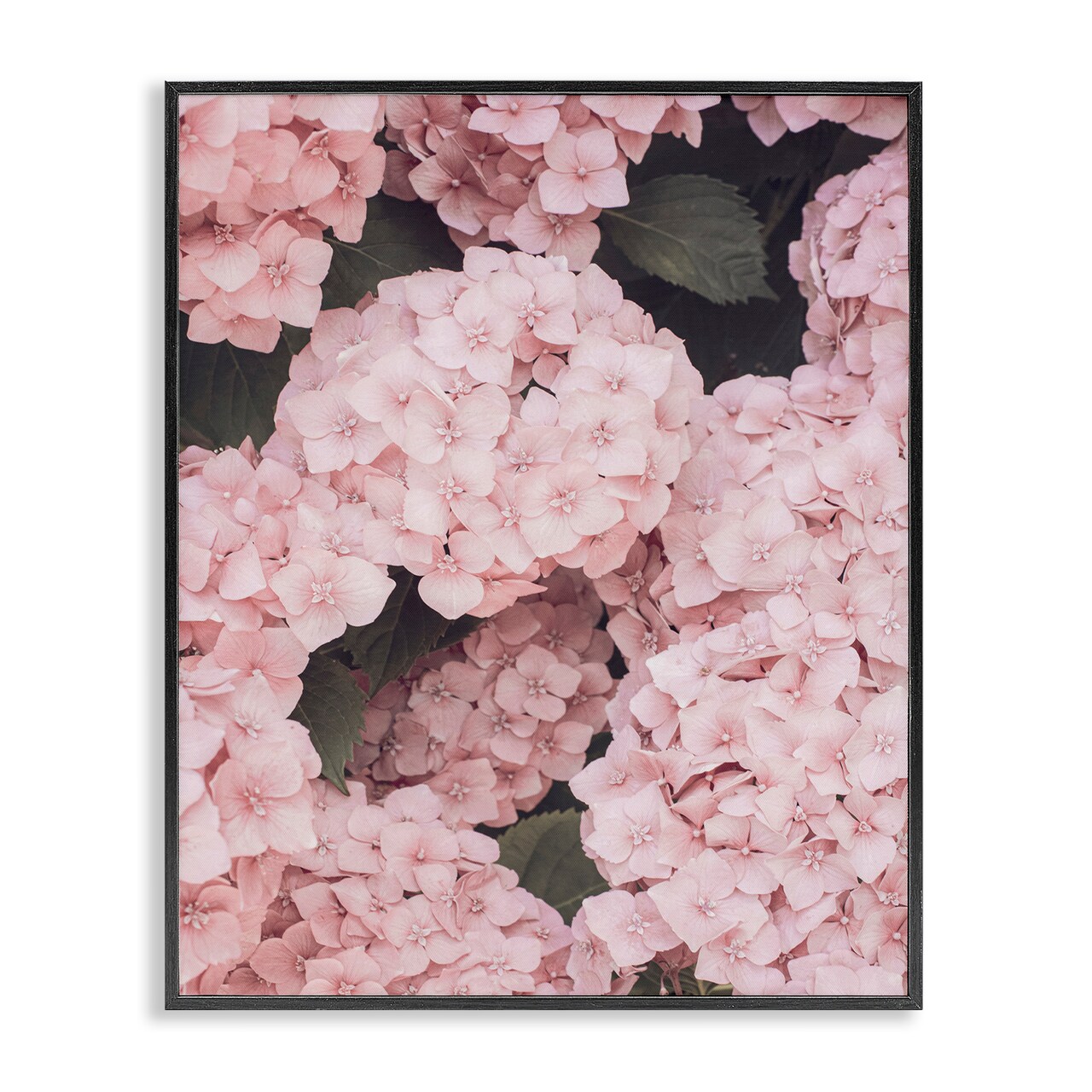 Stupell Industries Pink Hydrangea Blossoms Framed Giclee Wall Art Design by Sisi and Seb